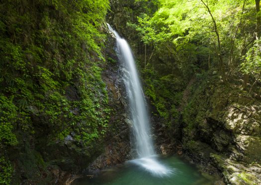 神秘的な滝と“まぼろし”の<br>ジャガイモを探しに、いざ東京の山奥へ。