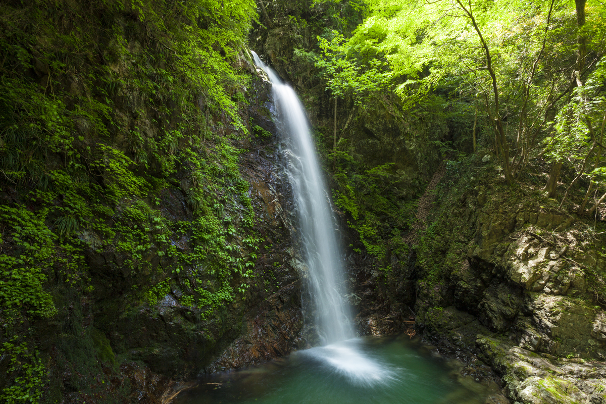 神秘的な滝と“まぼろし”の<br>ジャガイモを探しに、いざ東京の山奥へ。