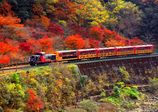 山間を縫って走る、嵯峨野トロッコ列車。