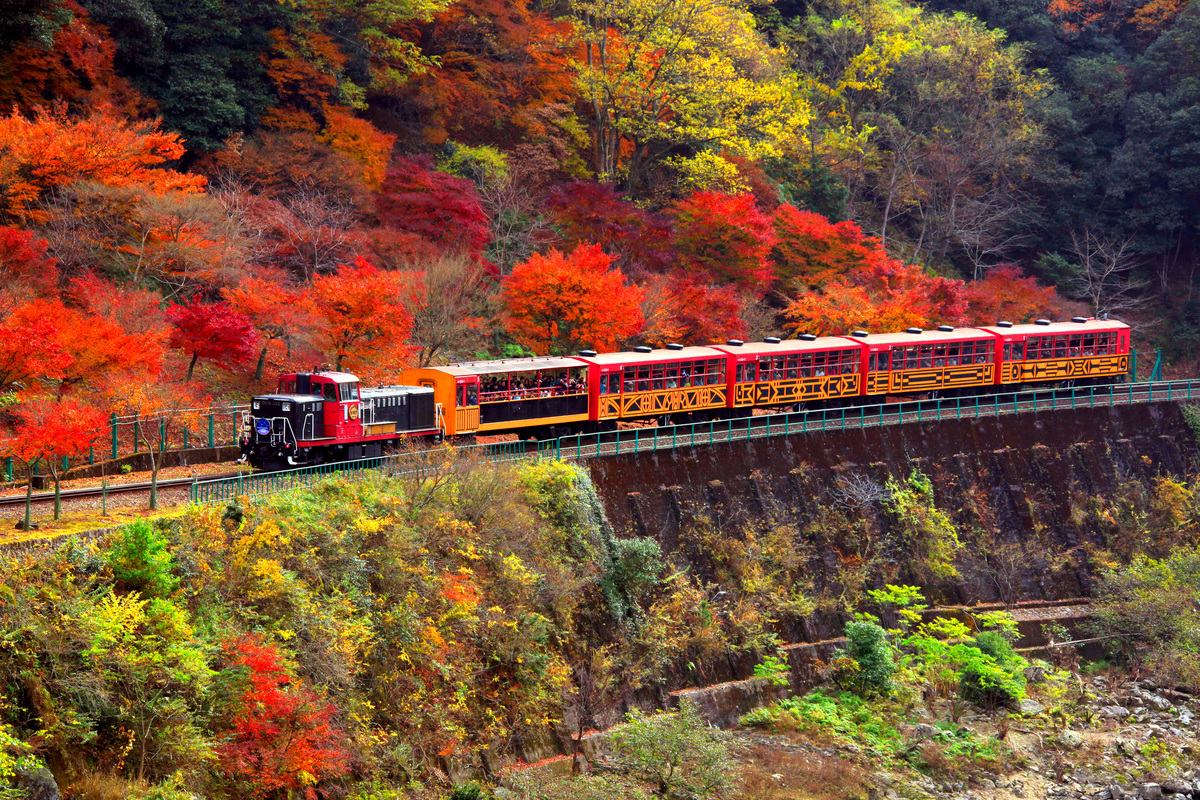 紅葉をバックにトロッコ列車が走る！<br>保津峡の絶景と初秋の味覚を満喫する。
