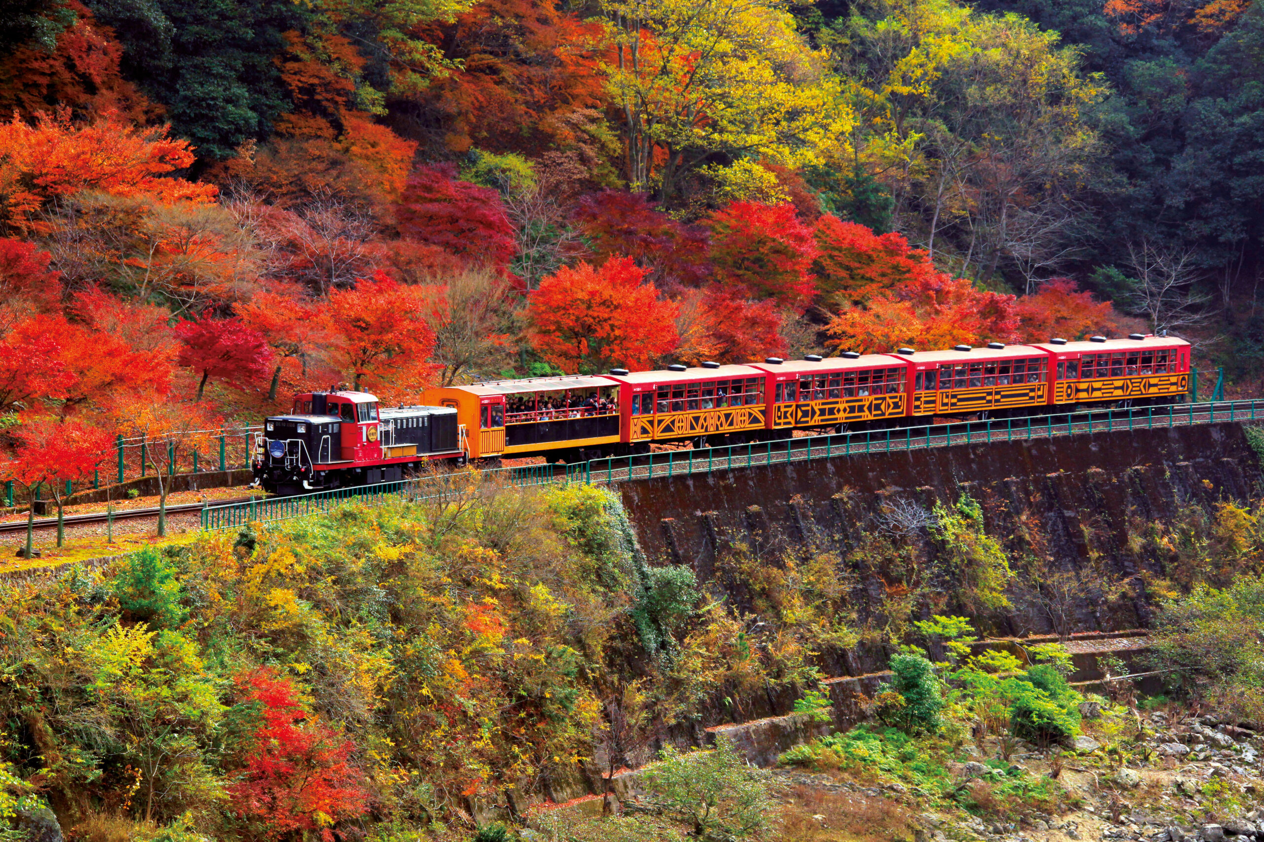 保津峡の絶景を楽しみ、初秋の味覚を満喫する。